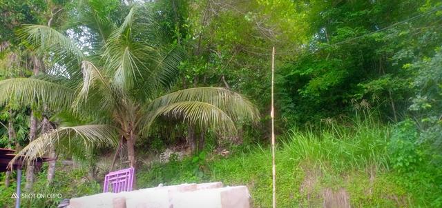 Photo of Joseph Massage - Kota Kinabalu, Sabah, Malaysia