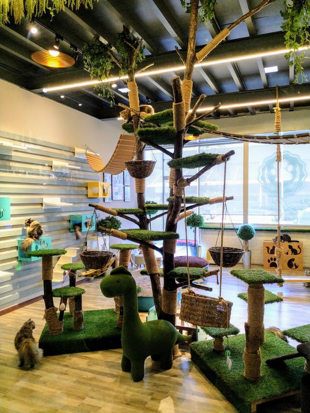 Photo of Pet Paradise Kolombong - Kota Kinabalu, Sabah, Malaysia