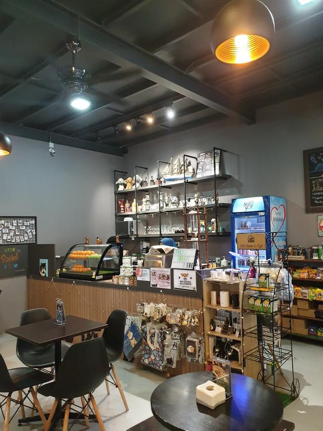 Photo of Pet Paradise Kolombong - Kota Kinabalu, Sabah, Malaysia