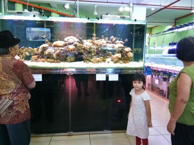 Photo of Harvest Fish & Pet Sdn Bhd - Kota Kinabalu, Sabah, Malaysia