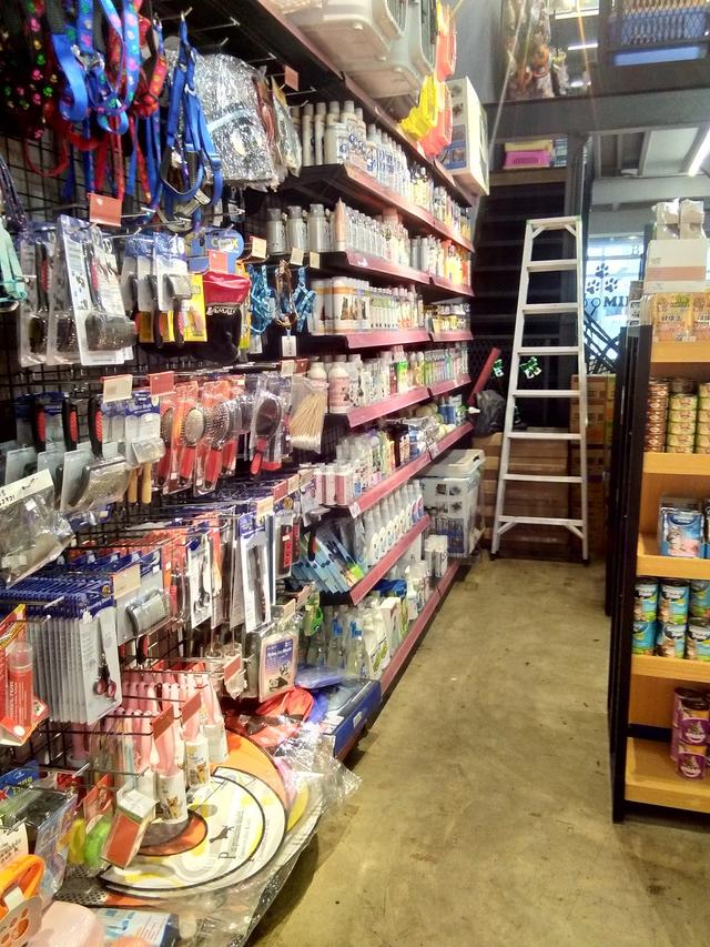 Photo of Pet Paradise Sulaman - Kota Kinabalu, Sabah, Malaysia