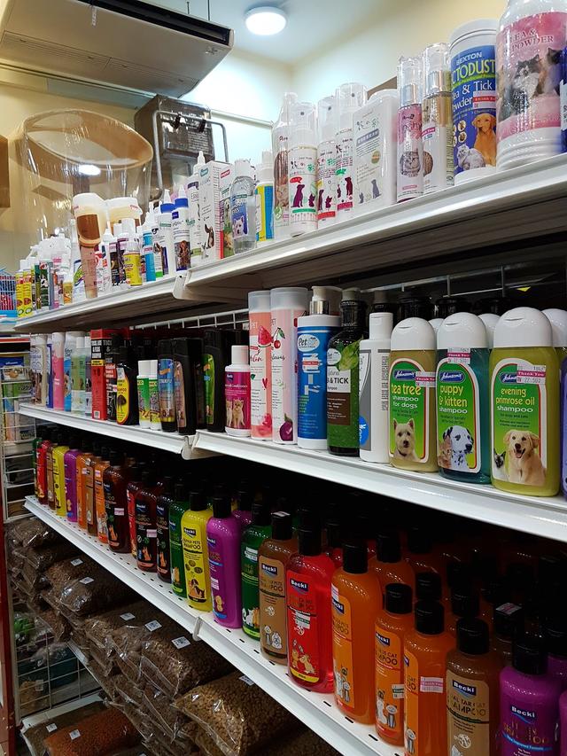 Photo of JJ Pet Shop (University Apartment) - Kota Kinabalu, Sabah, Malaysia