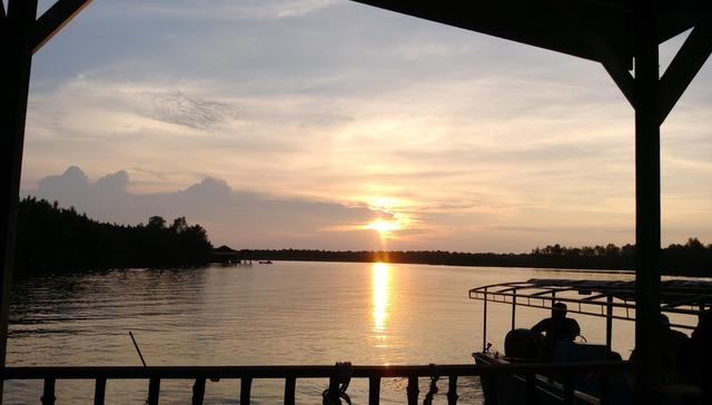 Photo of Weston 红树林 - Kota Kinabalu, Sabah, Malaysia