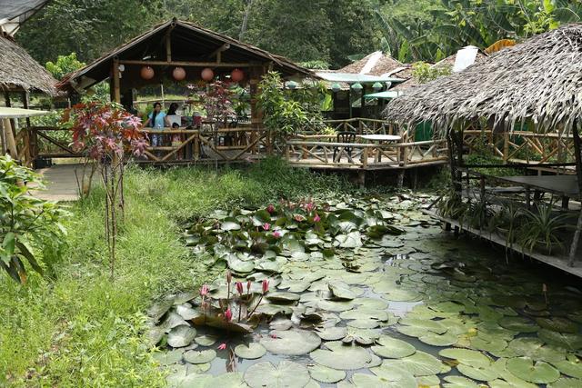 Photo of Signal Hill Eco Farm - Kota Kinabalu, Sabah, Malaysia