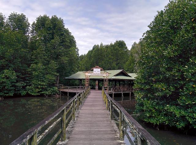Photo of Kota Kinabalu Wetland Ramsar Site - Kota Kinabalu, Sabah, Malaysia