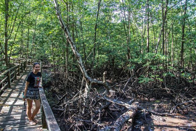 Photo of Kota Kinabalu Wetland Ramsar Site - Kota Kinabalu, Sabah, Malaysia
