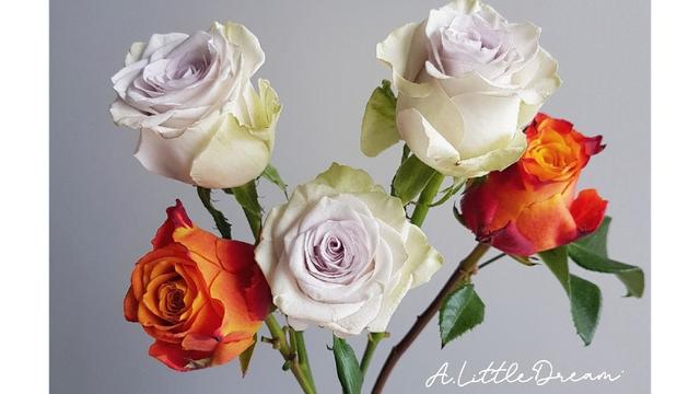 Photo of A Little Dream (Florist) - Sandakan, Sabah, Malaysia
