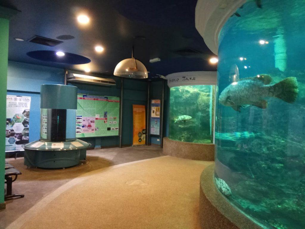 Photo of Aquarium & Marine Museum, Universiti Malaysia Sabah, Kota Kinabalu, Sabah. - Kota Kinabalu, Sabah, Malaysia background