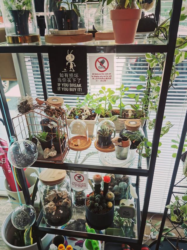 Photo of La Dolce Cafe - Kota Kinabalu, Sabah, Malaysia