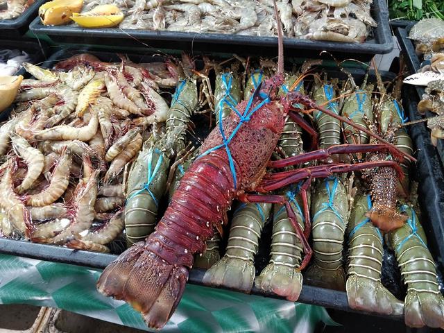 Photo of Anjung Qaseh Adinda Seafood - Kota Kinabalu, Sabah, Malaysia