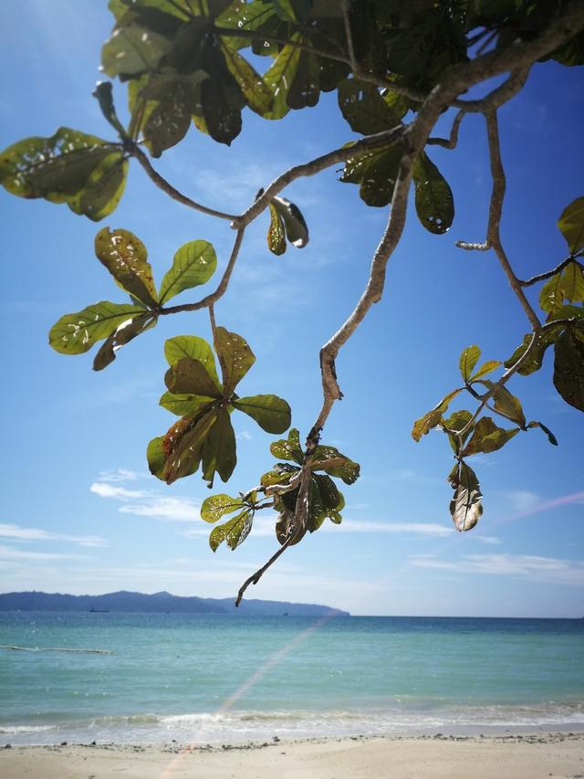 Photo of UMS ODEC beach - Kota Kinabalu, Sabah, Malaysia