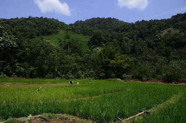 Photo of Kiulu Farmstay - Tuaran, Sabah, Malaysia