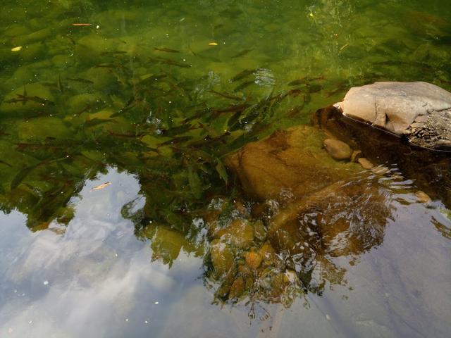 Photo of Tagal Tinopikon Park - Kota Kinabalu, Sabah, Malaysia