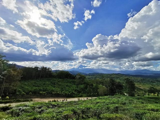 Photo of Sabah Tea Resort - Kundasang, Sabah, Malaysia