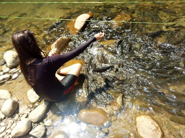 Photo of Tagal Dolungan Sumbiling Kimanis, Kampung Kinolosodon, Fish Spa. - Papar, Sabah, Malaysia