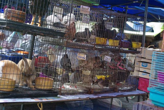 Photo of Gaya Street Sunday Morning Market - Kota Kinabalu, Sabah, Malaysia