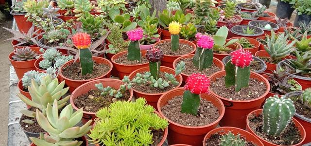 Photo of K Box Beverly - Kota Kinabalu, Sabah, Malaysia