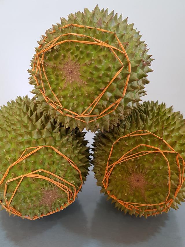 Photo of Musang King KK - Kota Kinabalu, Sabah, Malaysia