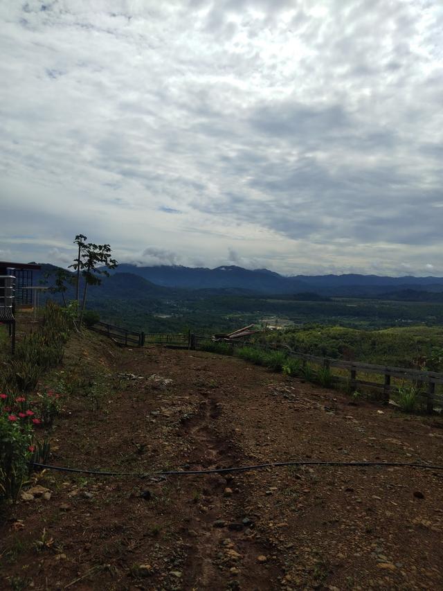 Photo of Highland Farmhouse Resort - Kundasang, Sabah, Malaysia