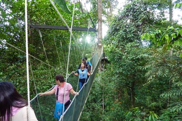 Photo of Pondok Manggas, Poring Treetop Canopy Walk - Kundasang, Sabah, Malaysia