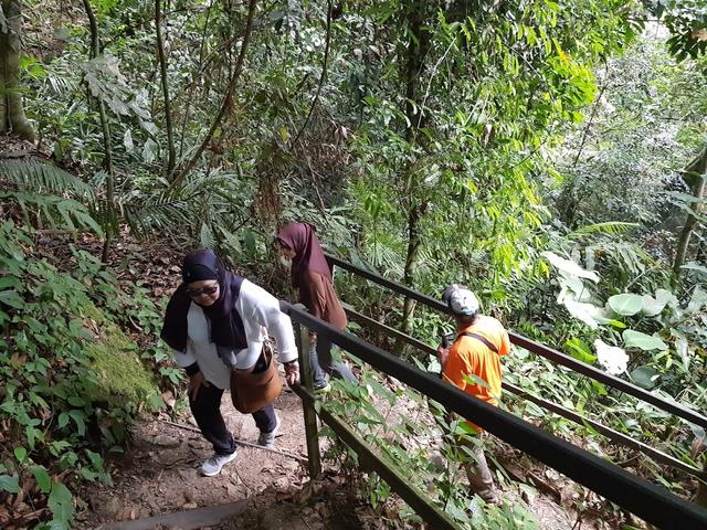 Photo of Pondok Manggas, Poring Treetop Canopy Walk - Kundasang, Sabah, Malaysia