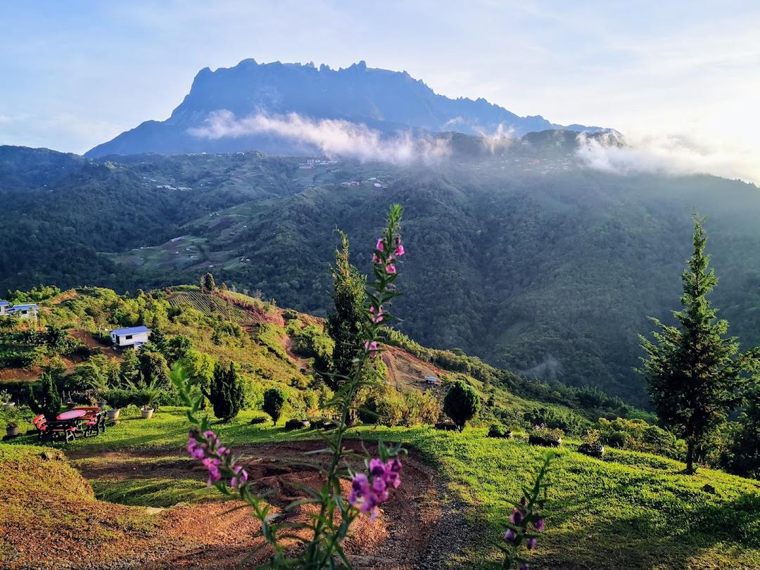 Photo of Hounon Ridge Farmstay & Camping - Kundasang, Sabah, Malaysia