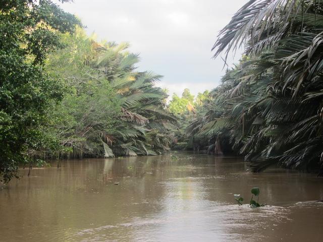 Photo of KINABATANGAN WETLANDS RESORT - Sandakan, Sabah, Malaysia