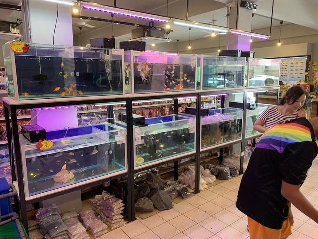 Photo of PRO FISH AND PETS - Sandakan, Sabah, Malaysia