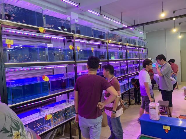 Photo of PRO FISH AND PETS - Sandakan, Sabah, Malaysia