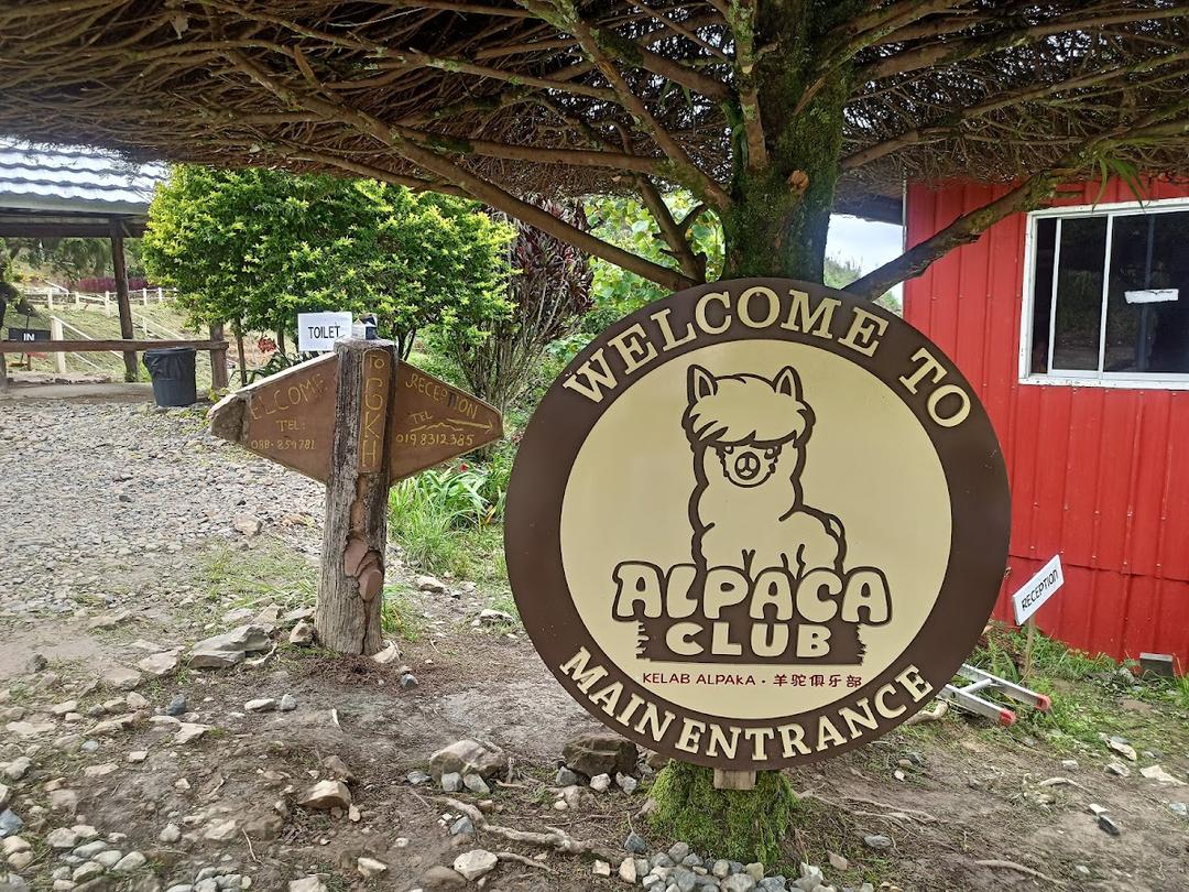 Photo of Alpaca Club - Kundasang, Sabah, Malaysia