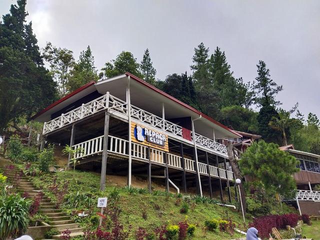 Photo of Alpaca Club - Kundasang, Sabah, Malaysia