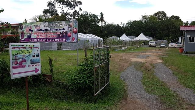 Photo of JonGrapevines & Figs Garden - Tuaran, Sabah, Malaysia