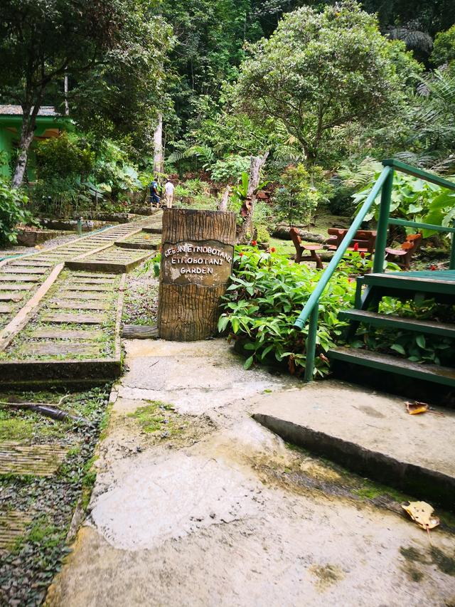 Photo of Etnobotani Garden - Kundasang, Sabah, Malaysia