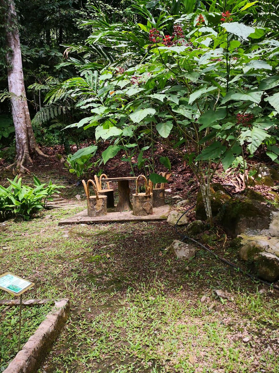 Photo of Etnobotani Garden - Kundasang, Sabah, Malaysia