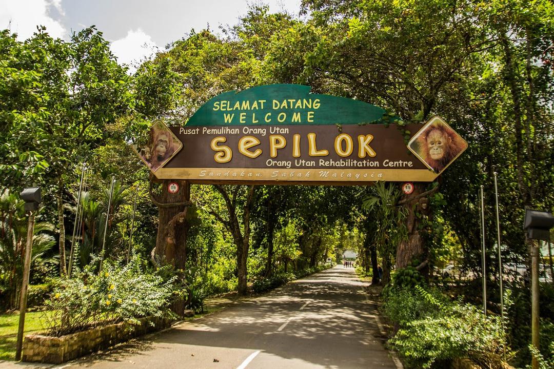 Photo of Sepilok Orangutan Rehabilitation Centre, Sandakan, Sabah.\ - Sandakan, Sabah, Malaysia