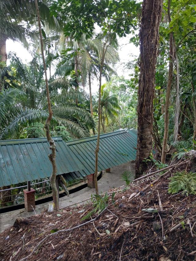 Photo of 100 Step Staircase - Sandakan, Sabah, Malaysia