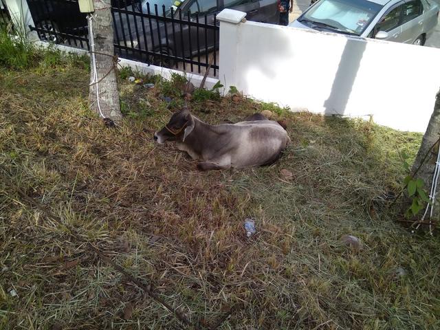 Photo of Kg. Air Reflexology - Kota Kinabalu, Sabah, Malaysia