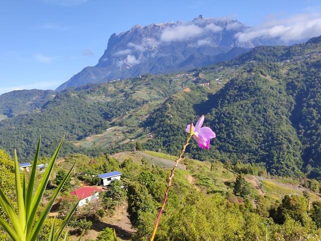 Photo of Himbaan Gardenstay - Kundasang, Sabah, Malaysia