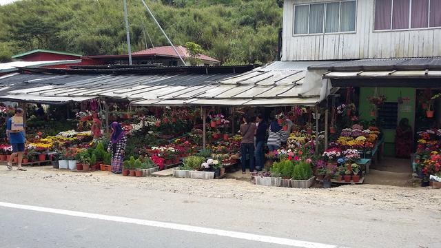 Photo of Kundasang Market - Kundasang, Sabah, Malaysia