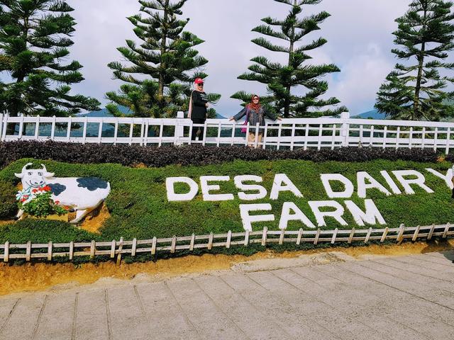 Photo of Roundabout Desa Dairy Farm Signature Direction Decoration Kundasang, Sabah. - Kundasang, Sabah, Malaysia