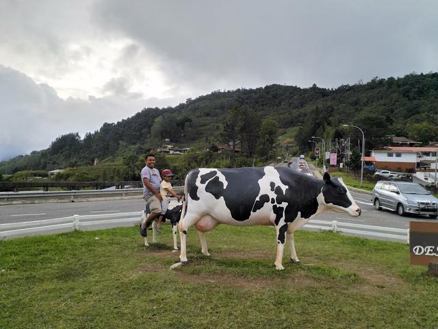 Photo of Roundabout Desa Dairy Farm Signature Direction Decoration Kundasang, Sabah. - Kundasang, Sabah, Malaysia