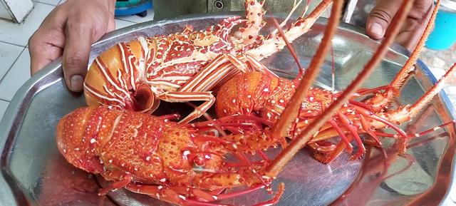 Photo of KUDAT. CURRY HOUSE - Kudat, Sabah, Malaysia