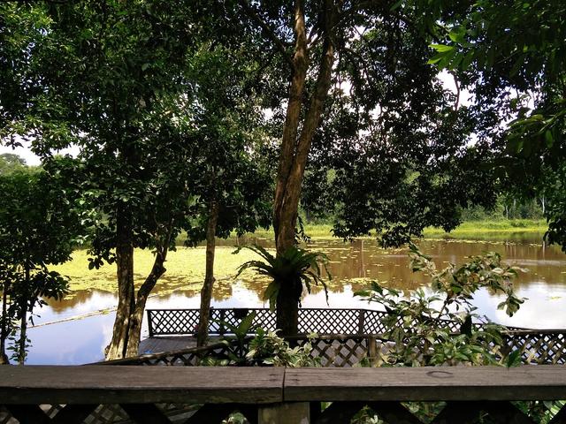 Photo of Tungog Rainforest Eco Camp - Sandakan, Sabah, Malaysia