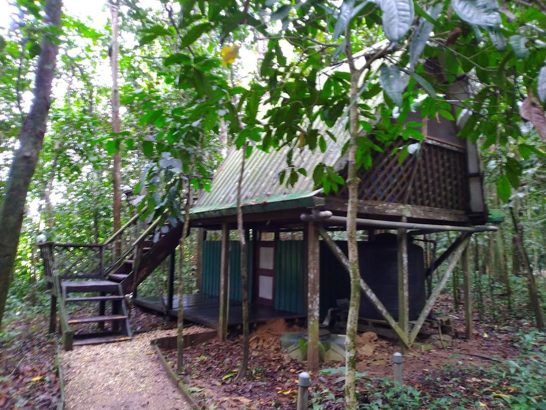 Photo of Tungog Rainforest Eco Camp - Sandakan, Sabah, Malaysia