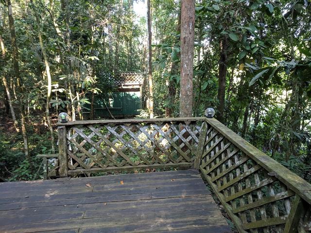 Photo of Tungog Rainforest Eco Camp - Sandakan, Sabah, Malaysia