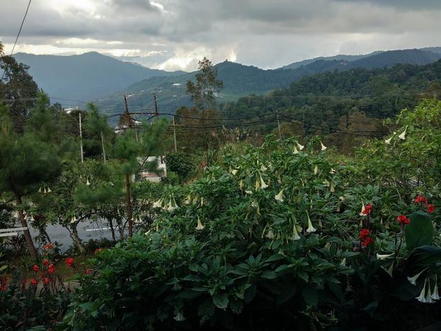Photo of Mountain Resthouse - Kundasang, Sabah, Malaysia