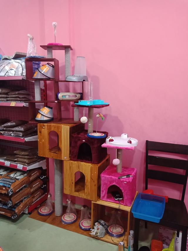 Photo of Cat Lover Pet Shop - Sandakan, Sabah, Malaysia