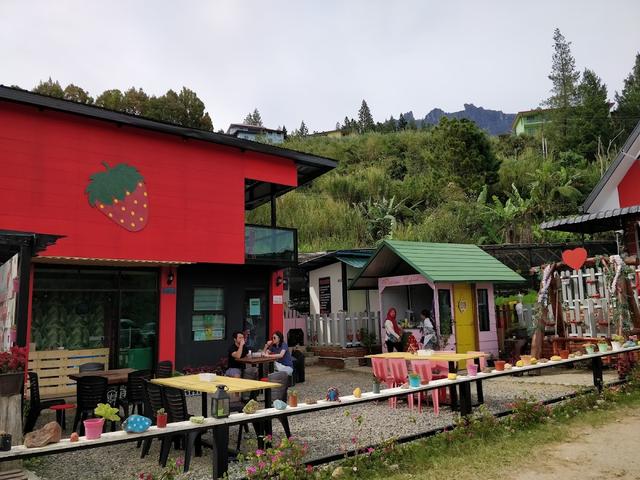 Photo of Mesilou Highland Strawberry Farm - Kundasang, Sabah, Malaysia