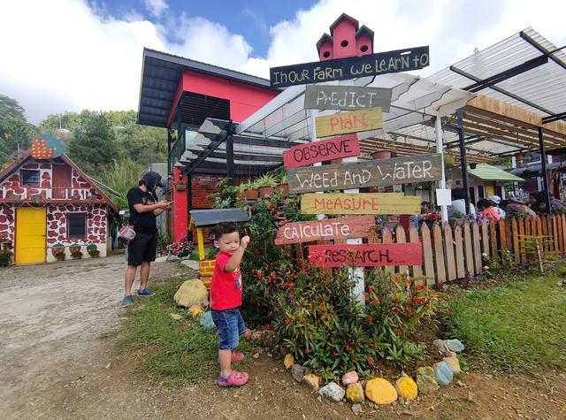 Photo of Mesilou Highland Strawberry Farm - Kundasang, Sabah, Malaysia