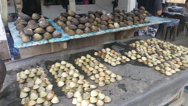 Photo of Puding kelapa - Gerai kelapa salut - Tuaran, Sabah, Malaysia
